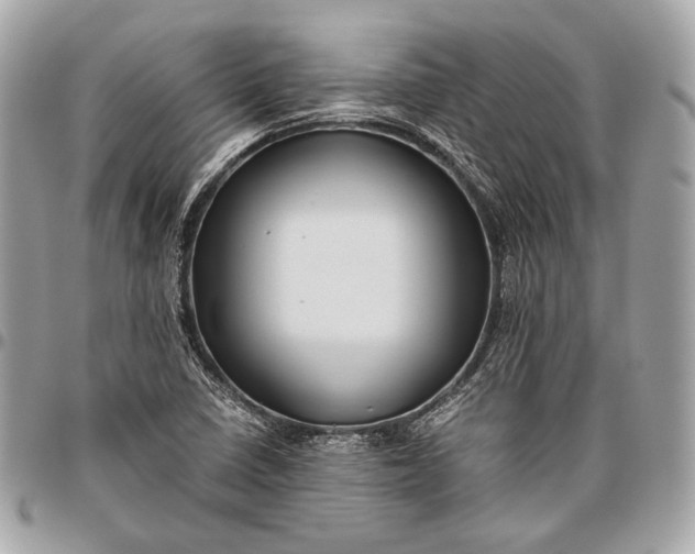 X0000096441410200802071737