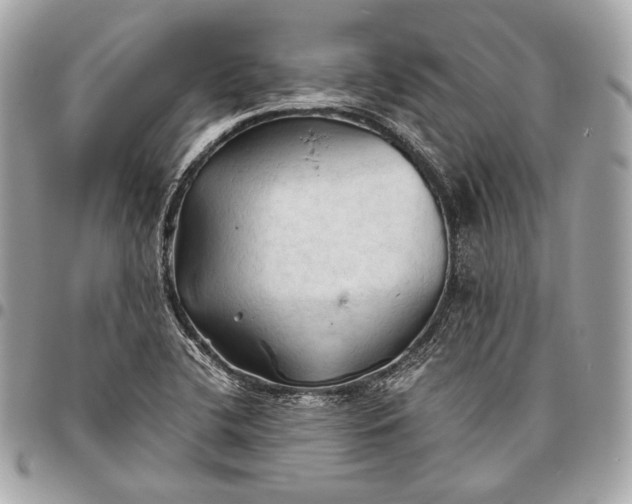 X0000096441412200802071737