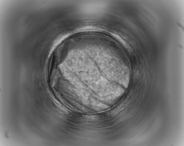 X0000096441413200802071737