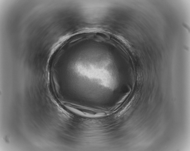 X0000096441414200802071737