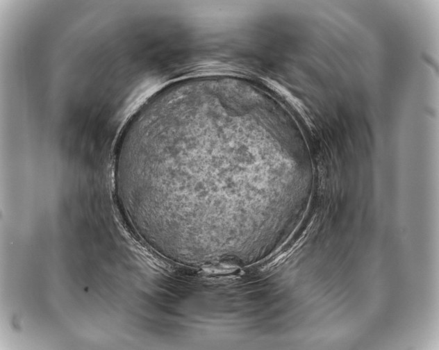 X0000096441415200802071738