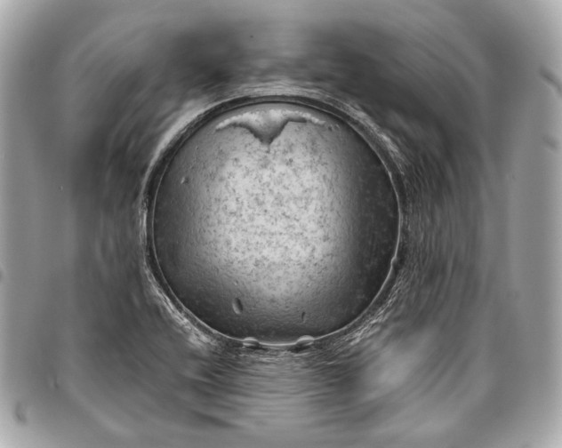 X0000096441416200802071738