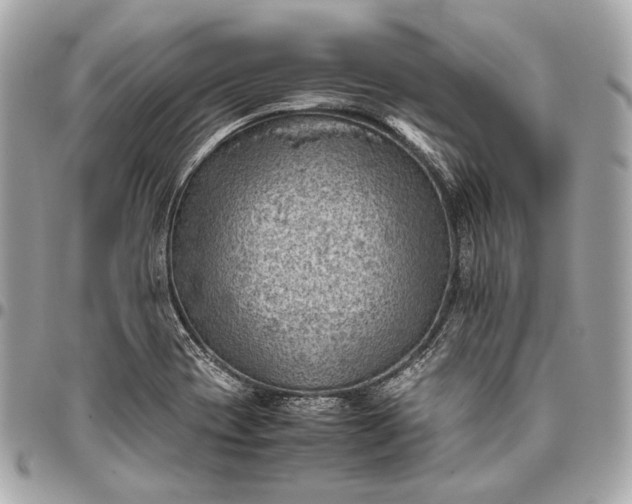 X0000096441417200802071738