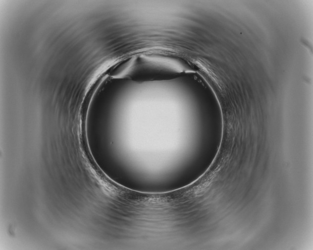 X0000096441418200802071738