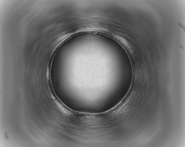 X0000096441420200802071738