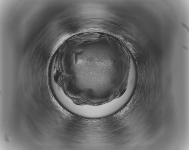 X0000096441422200802071738