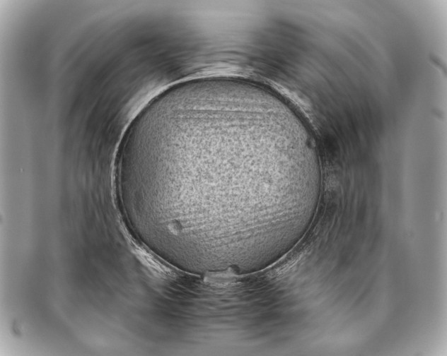 X0000096441423200802071738