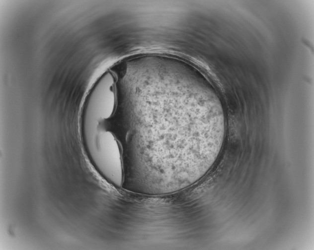 X0000096441424200802071738