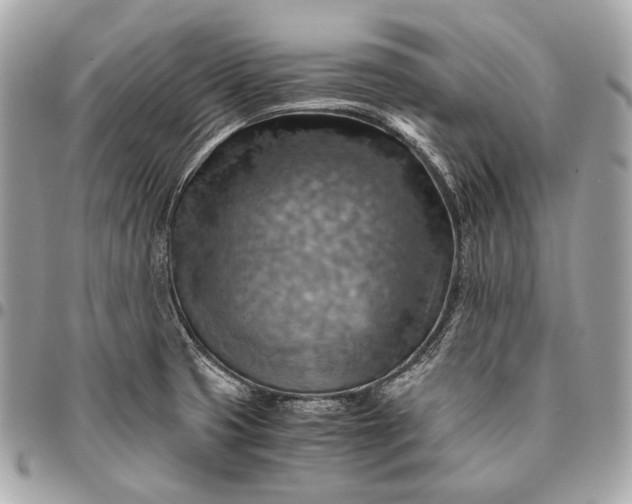 X0000096441425200802071738