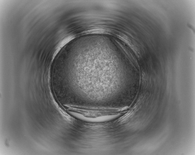 X0000096441426200802071738