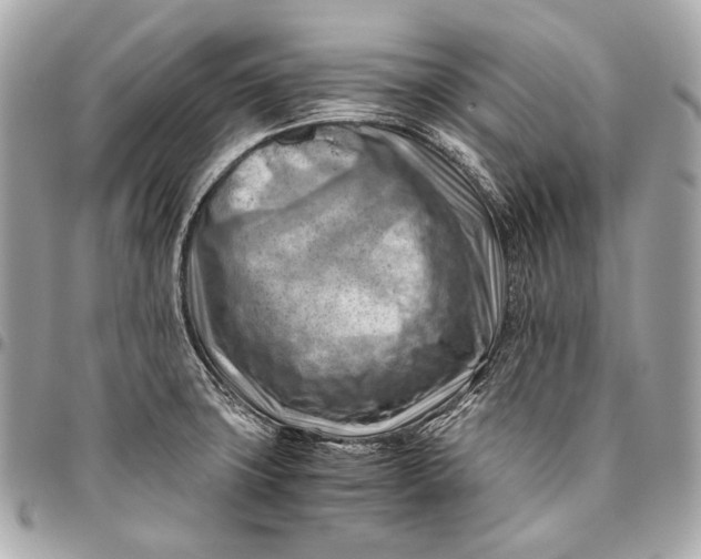 X0000096441427200802071738