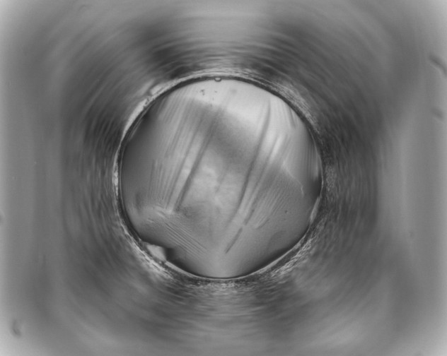 X0000096441428200802071738