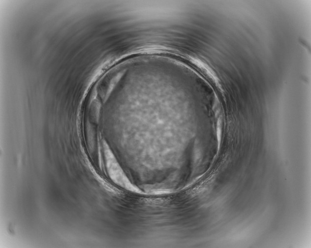 X0000096441429200802071738