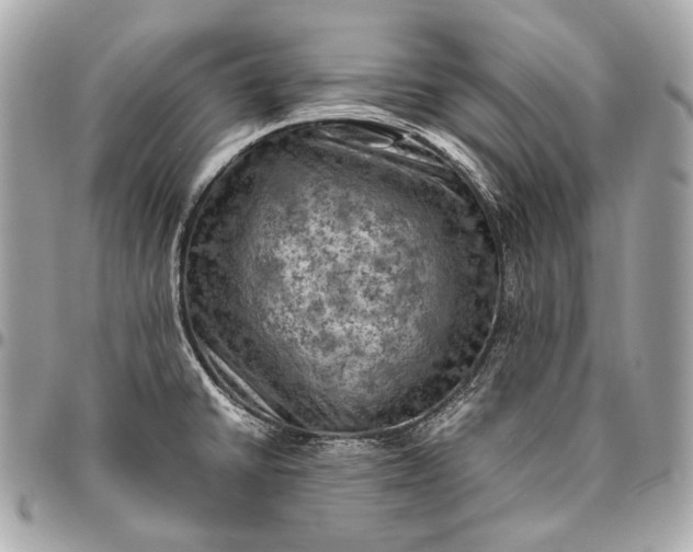 X0000096441430200802071738