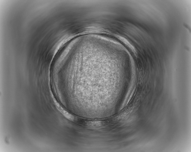 X0000096441431200802071738