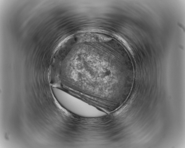 X0000096441433200802071738