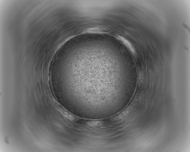 X0000096441435200802071738