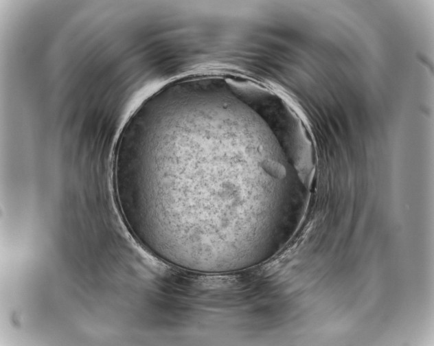 X0000096441437200802071738