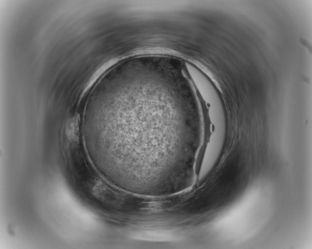 X0000096441438200802071738