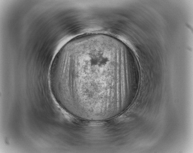 X0000096441440200802071738