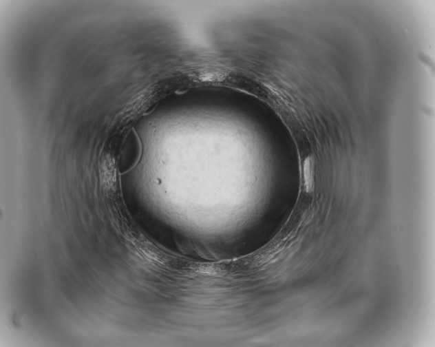 X0000096441443200802071737