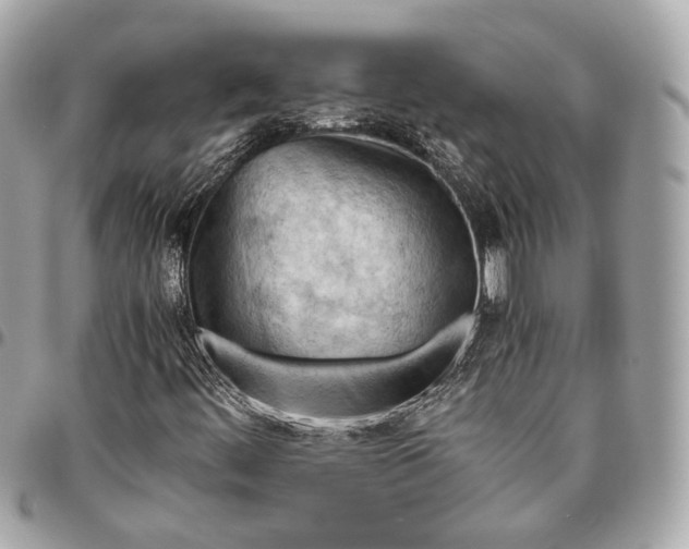 X0000096441444200802071737