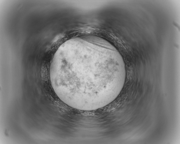 X0000096441446200802071737