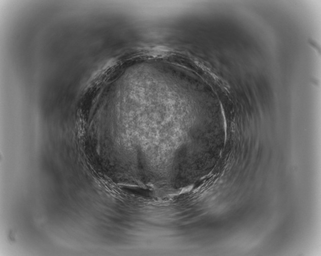 X0000096441447200802071737