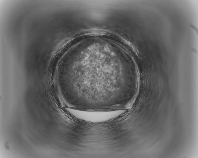 X0000096441448200802071737