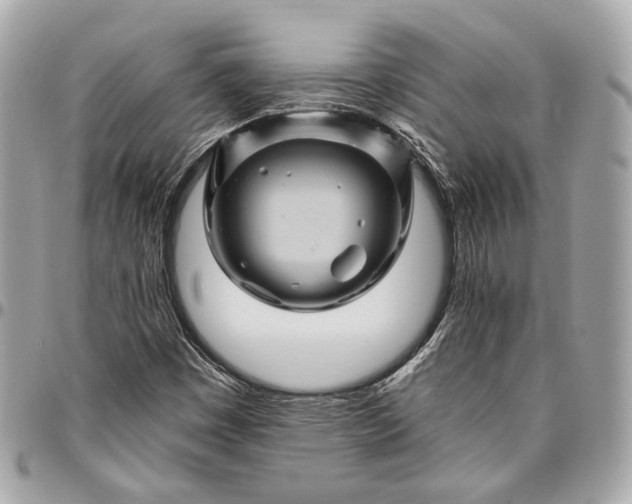 X0000096441449200802071737