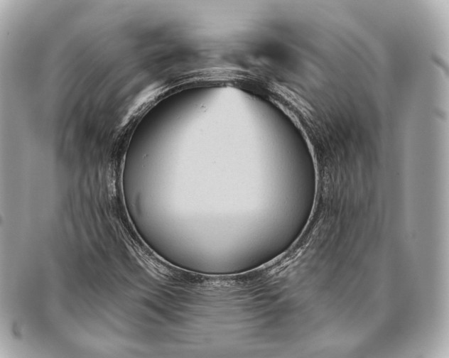 X0000096441451200802071737