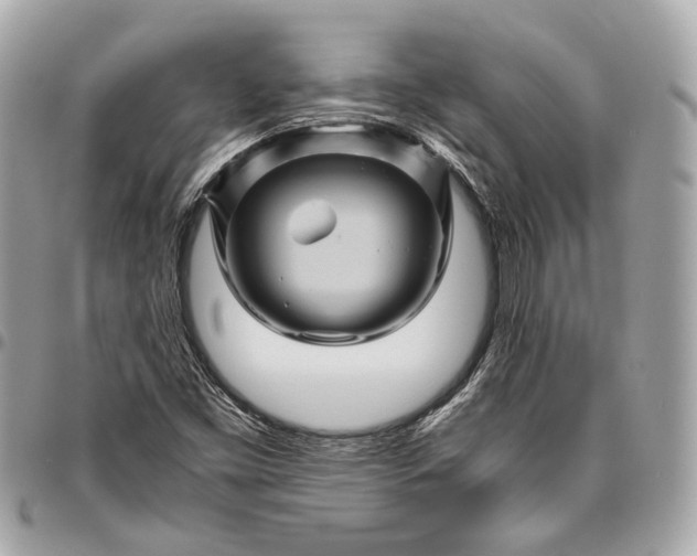 X0000096441453200802071737