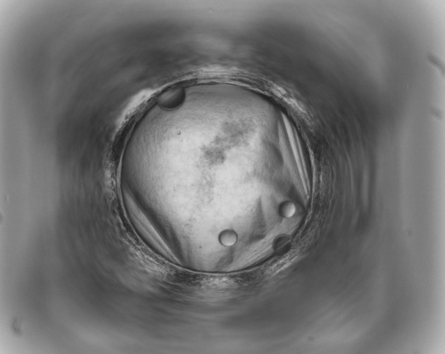 X0000096441454200802071737