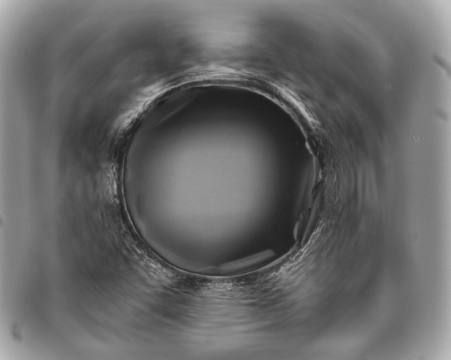 X0000096441455200802071737