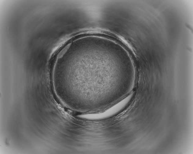 X0000096441456200802071737