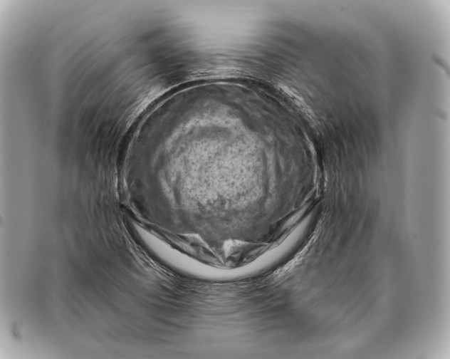 X0000096441457200802071737