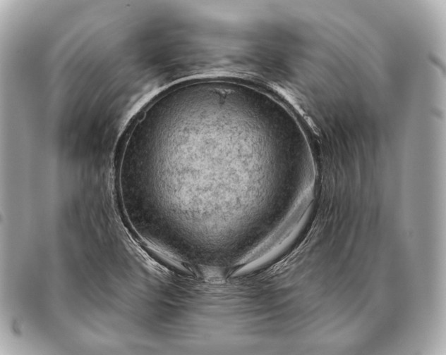 X0000096441460200802071737