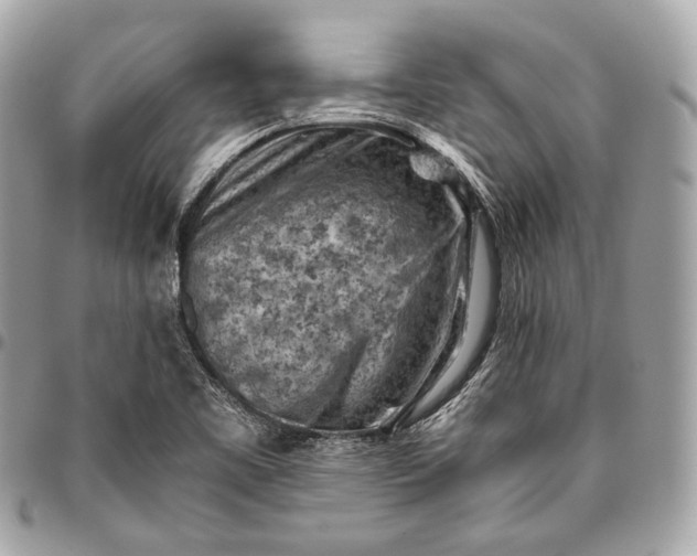 X0000096441461200802071737