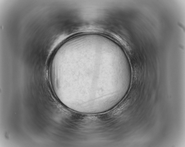 X0000096441462200802071737