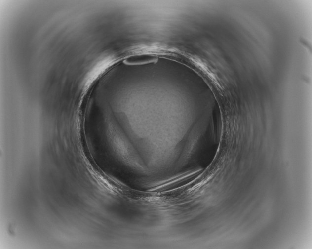 X0000096441463200802071737