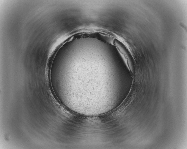 X0000096441464200802071737