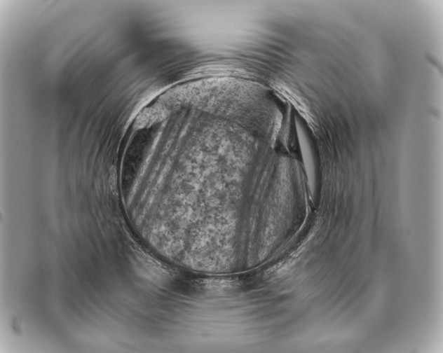 X0000096441465200802071737