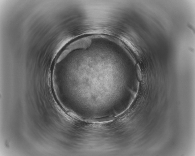 X0000096441468200802071737