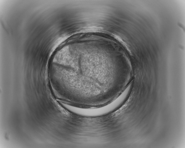 X0000096441469200802071737