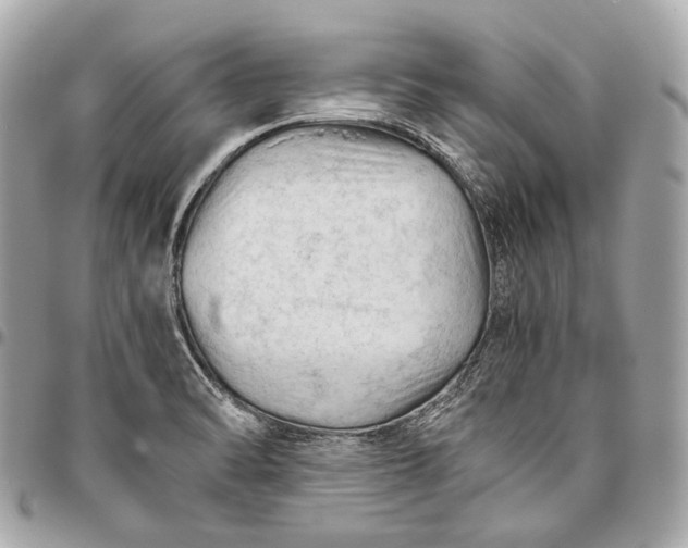 X0000096441470200802071737