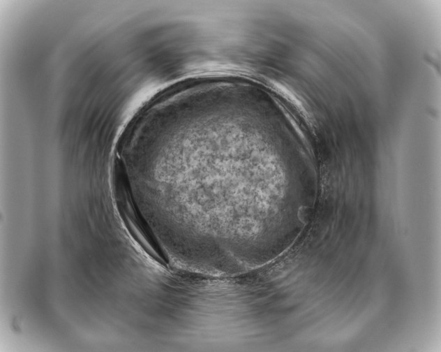 X0000096441472200802071737