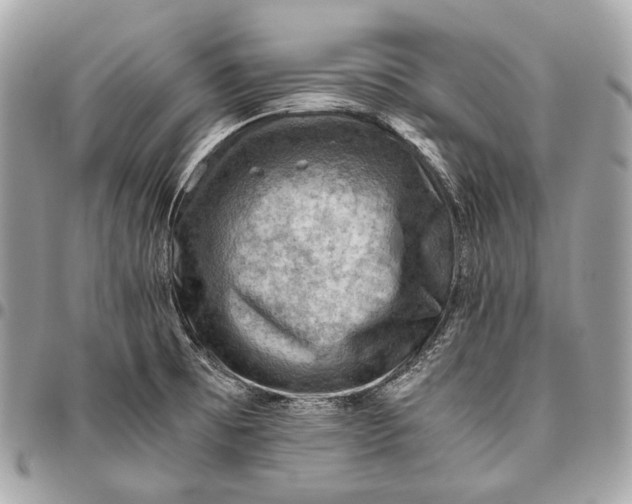 X0000096441473200802071737