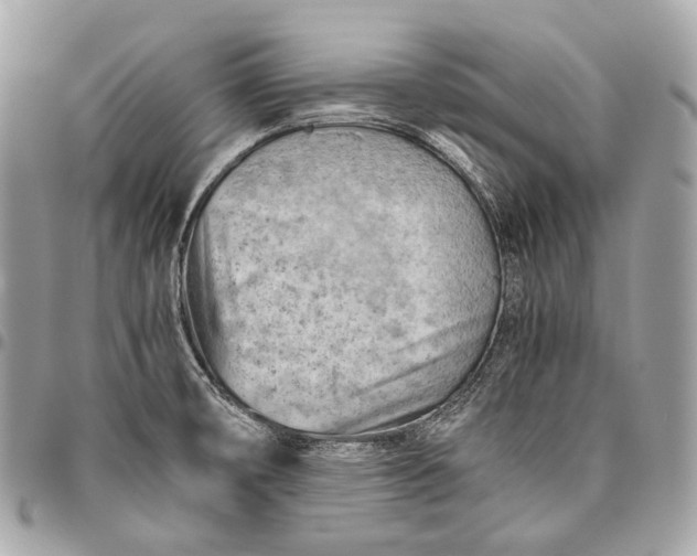 X0000096441474200802071737