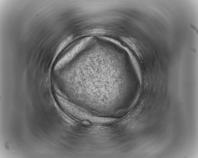 X0000096441475200802071737