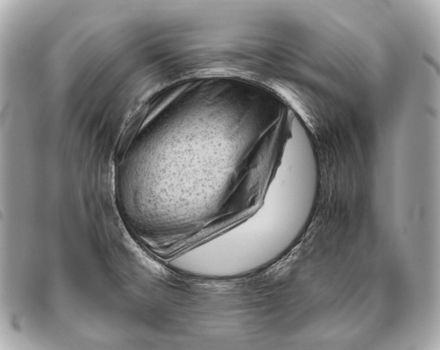 X0000096441476200802071737